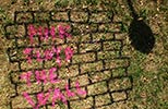 elfo | grass | floor | italy (10 votes)