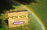 elfo | rainbow | italy (19 votes)