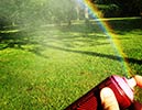elfo | rainbow | italy (53 votes)
