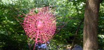 elfo | spider | pink | italy (34 votes)