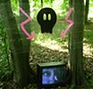 elfo | television | skull | italy (14 votes)