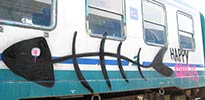 elfo | train | fish | italy (28 votes)