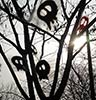 elfo | tree | skull | italy (30 votes)