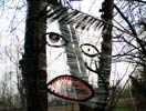 elfo | tree | mantova | italy (20 votes)