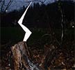 elfo | tree | italy (16 votes)