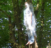 elfo | tree | italy (12 votes)