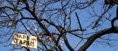 elfo | tree | italy (5 votes)