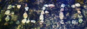 elfo | water | italy (27 votes)