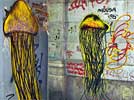 gako | spiritualconspiracy | octopus | italy (7 votes)