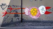 gola | bird | italy (16 votes)