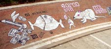 hopnn | cecil | eti | roma | italy (6 votes)