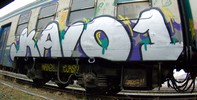 kaio | silver | train | italy (16 votes)