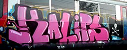 kalips | pink | napoli | train | italy (40 votes)