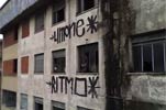limone | ritmo | brescia | roller | italy (10 votes)