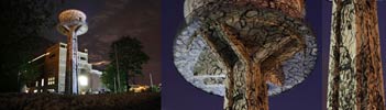 m-city | bolzano | night | tower | italy (65 votes)