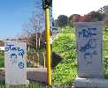 mooe | mdf | roma | italy (1 vote)