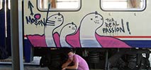 mosone | train | arf | italy (15 votes)