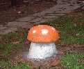 pao | mushroom | 3-d | italy (4 votes)