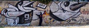 pin | pinguin | bari | italy (18 votes)
