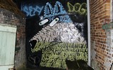 resto | doel | dog | belgium (21 votes)