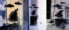 rne41 | tree | venezia | italy (3 votes)