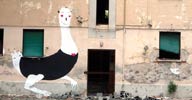 run | livorno | italy (18 votes)