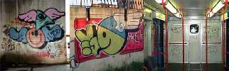 smile | mdf | roma | italy (2 votes)