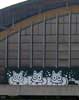 sqon | roof | italy | cat (2 votes)