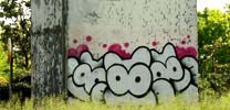 sqon | italy (2 votes)