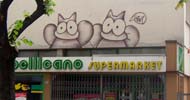 sqon | roof | italy | cat (1 vote)