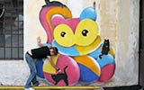 sqon | cat | italy (29 votes)