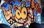 sqon | cat | italy (12 votes)