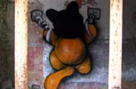sqon | orange | italy | cat (10 votes)