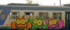 sqon | train | italy | cat (3 votes)