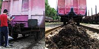 suxe | freight | pink | shit | italy (59 votes)