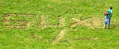suxe | green | ist | brescia | floor | italy | grass (41 votes)