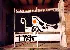 tren | firenze | italy (1 vote)