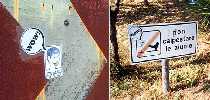 wow | enyz | roma | italy (1 vote)