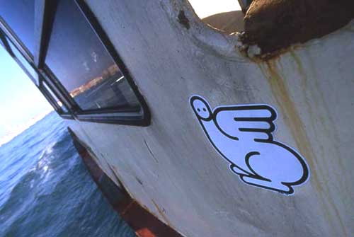 zuek | venezia | italy