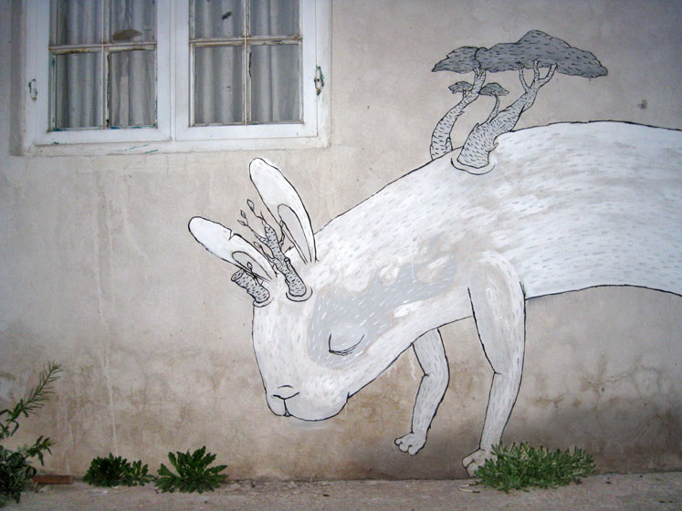 fotze | rabbit | mexico
