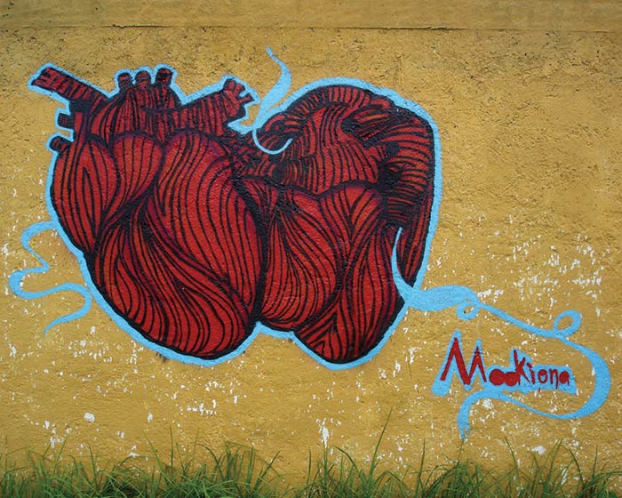 mookiena | dsr | red | mexico