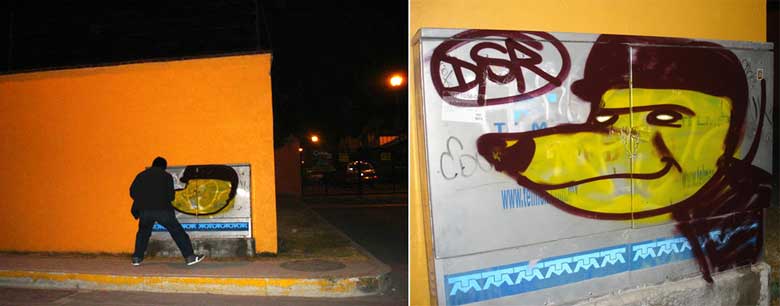 saner | dsr | mexico