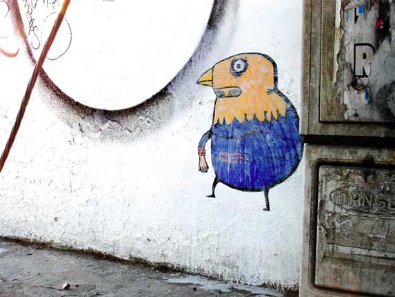 saner | dsr | mexico