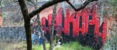 alkor | red | mexico (30 votes)