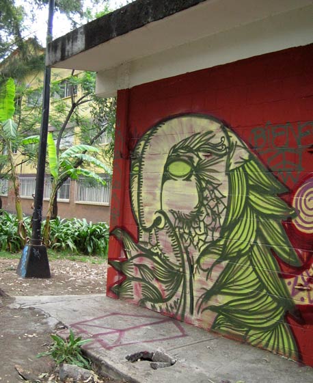 bieners | mexico