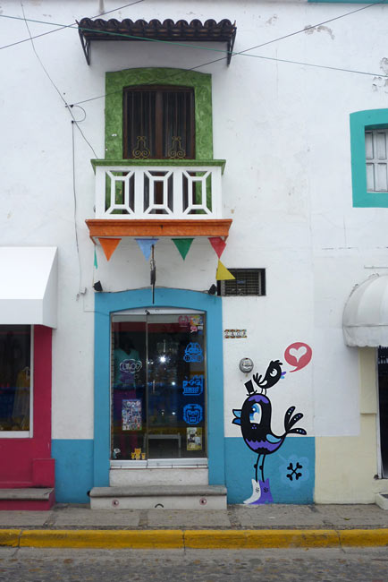 bue | bird | mexico