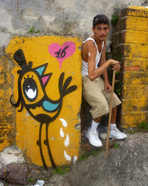 bue | yellow | bird | mexico