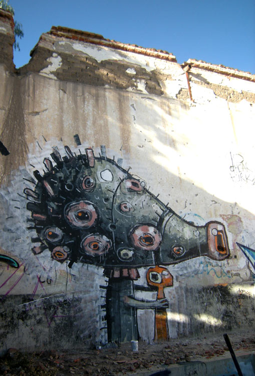 dhear | mexico