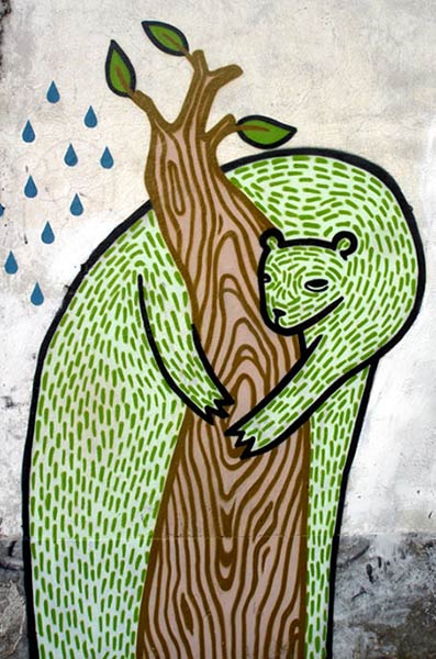 news | bear | green | mexico