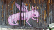 fotze | pink | mexico (39 votes)